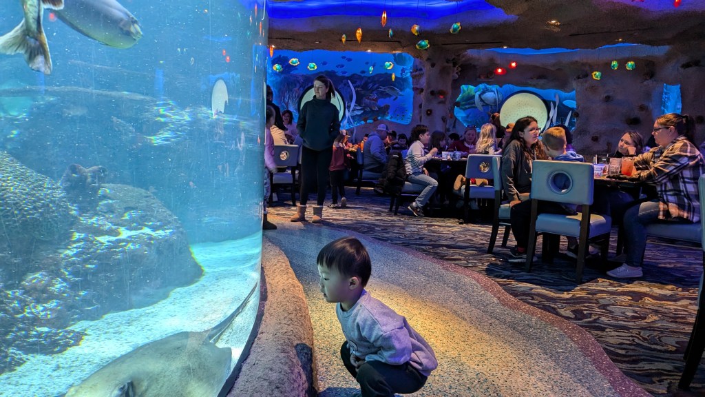 nashville aquarium restaurant